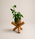 Plant Stand No.1