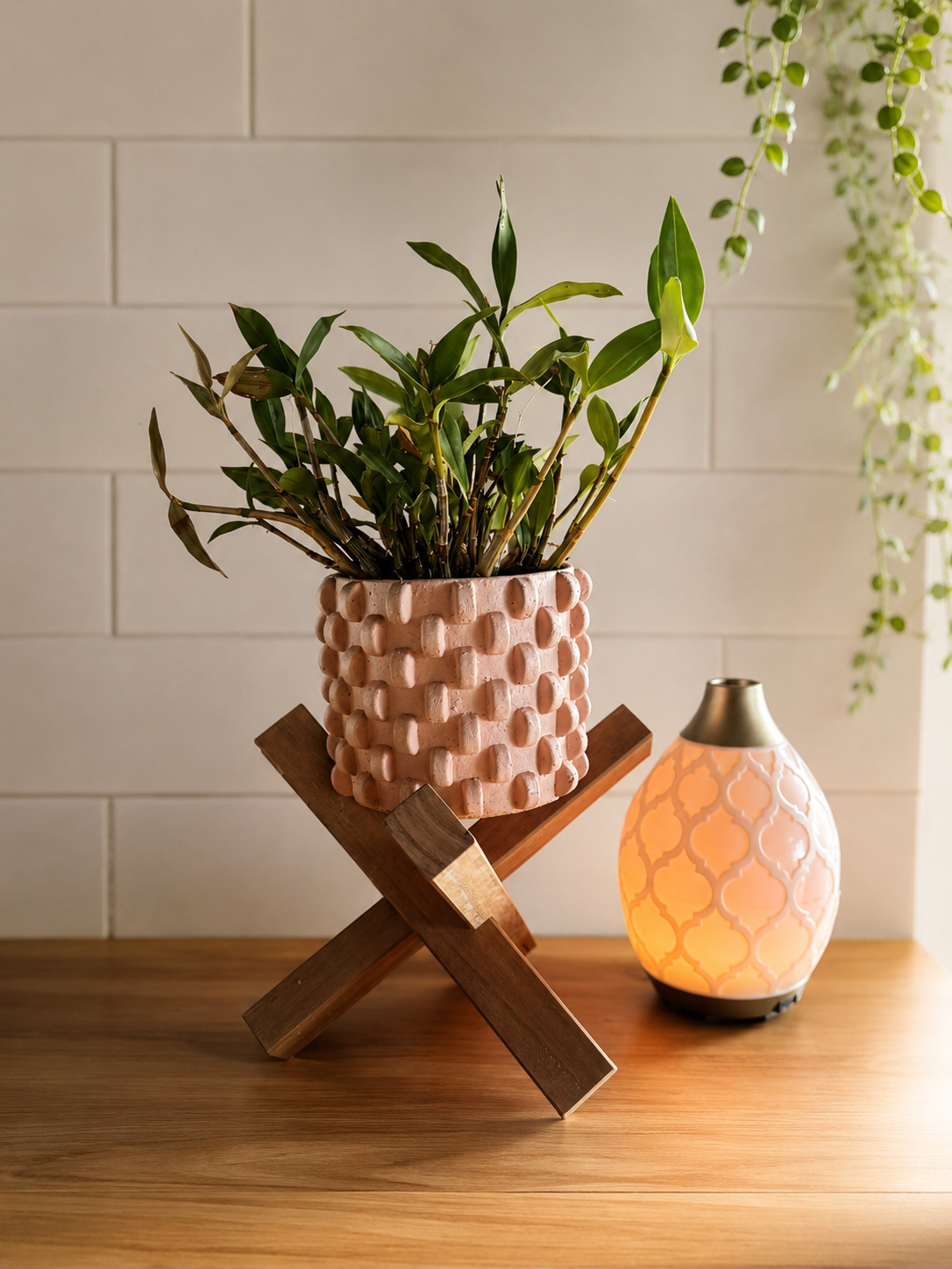 Plant Stand No.1
